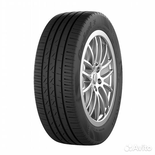 Cordiant Gravity 205/55 R16
