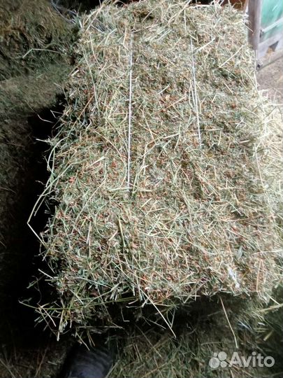 Сено люцерны в тюках 2 укос
