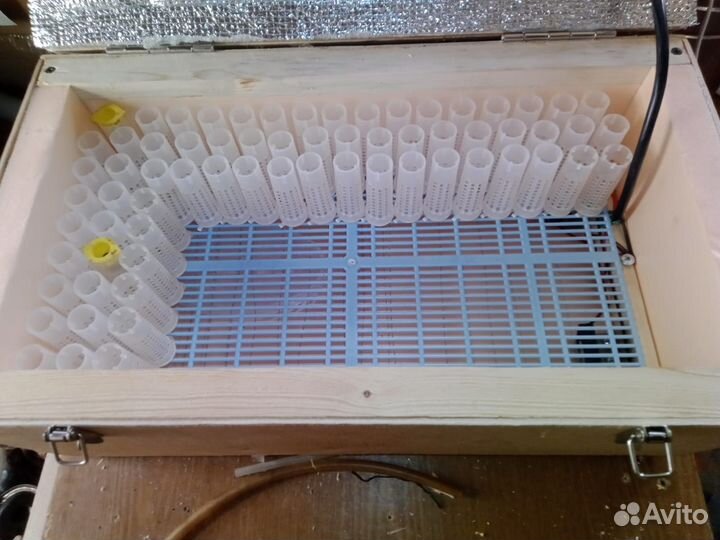 Инкубатор для маточников, пчеломаток