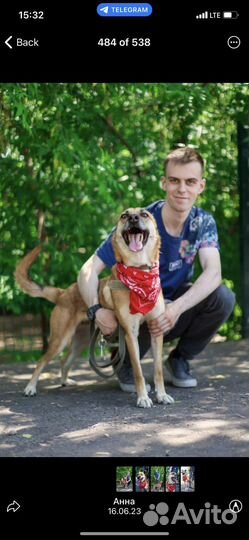 Отдам в хорошие руки