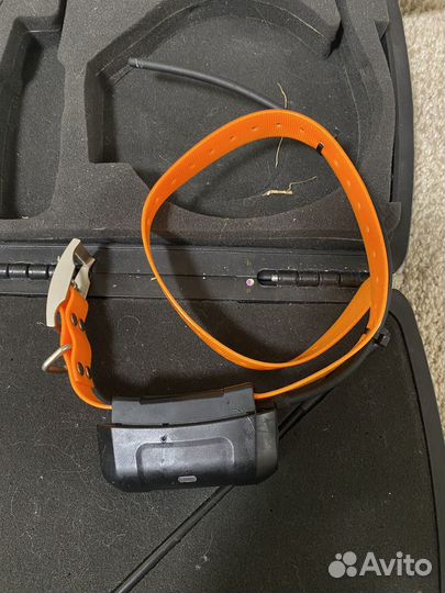 Garmin astro 320 с ошейником DC40