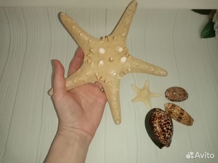 Переливные календарики СССР шкатулка веер