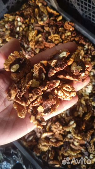 Орех грецкий