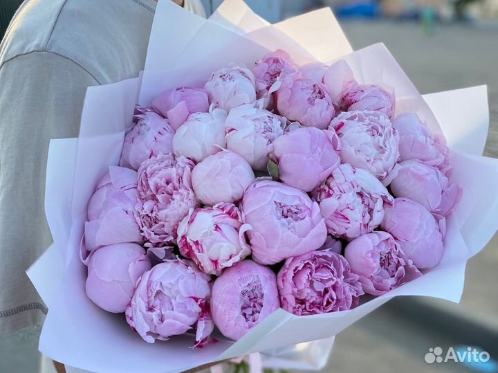 Доставка Пионов 25 пионов 51 пионов Букет пионы