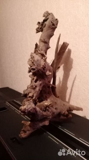 Артемия замороженная