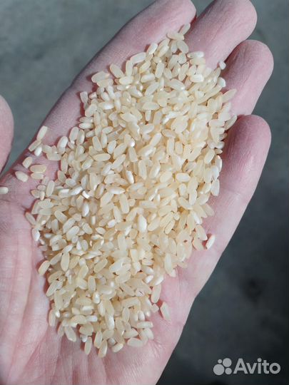 Крупа рисовая для собак