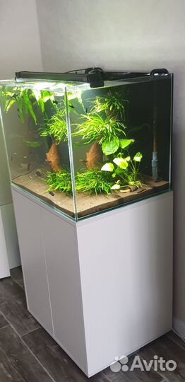 Аквариум 150л с тумбой, свет, внешний фильтр