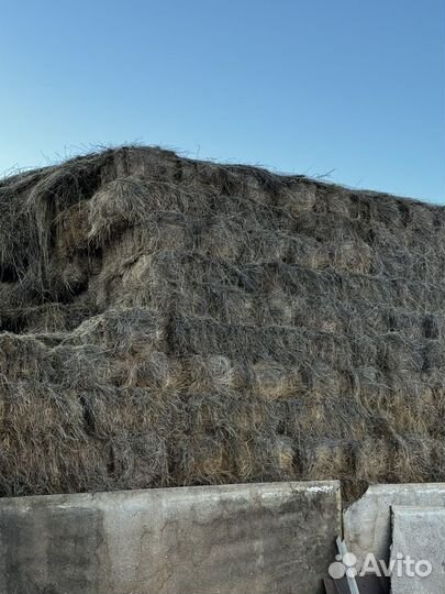 Сено в тюках