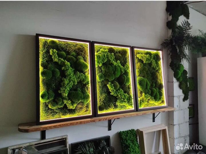 Мох стабилизированный фитокартина фитостена панно