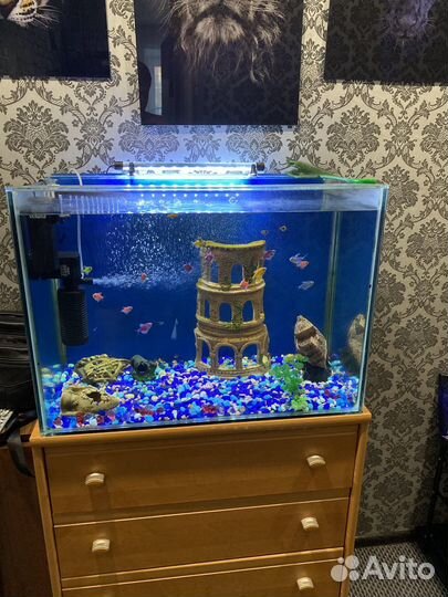 Аквариум с тумбой