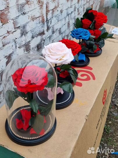 Роза в колбе оптом и в розницу