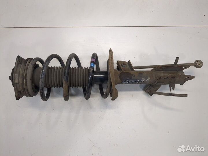 Амортизатор подвески Nissan Qashqai, 2009