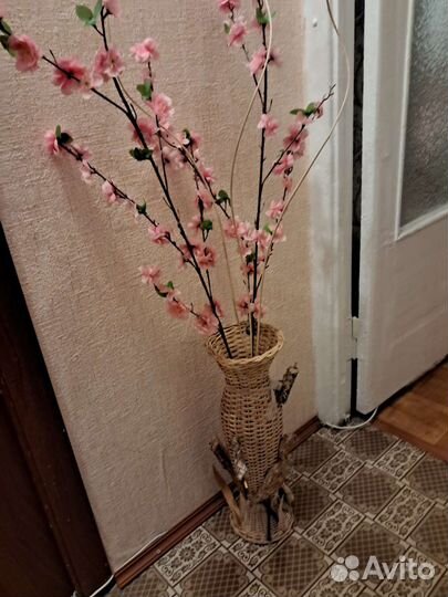 Сакура, 2 ветки, 3 уса