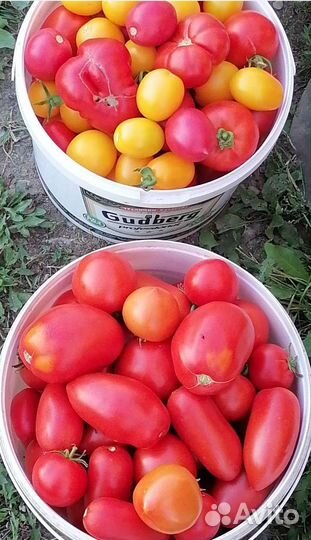 Продукты питания