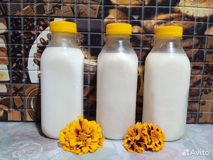 Барсучий жир сезон 2023г