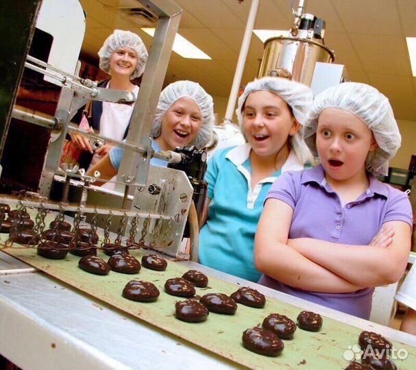 Разнорабочие