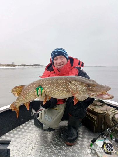 Рыбалка с гидом круглый год, прогулки на катере
