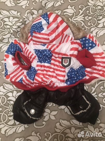 Одежда для собак