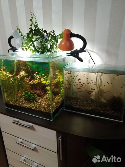 Аквариум