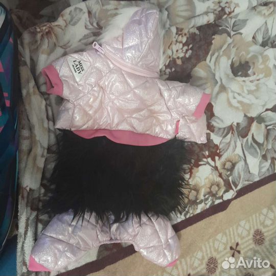 Одежда для собак