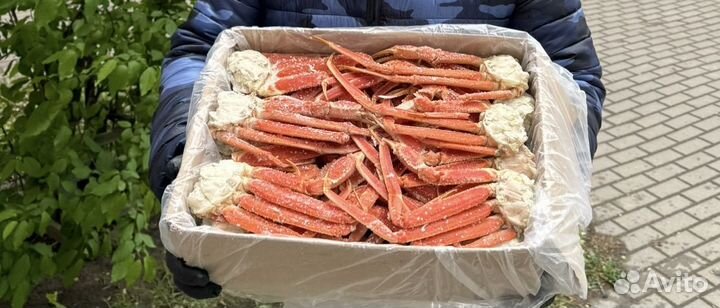 Клешни краба стригуна 4кг