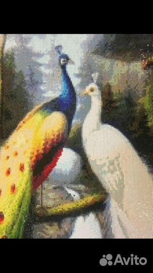 Алмазная мозаика / вышивка Павлины