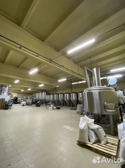 Запуск пивоварни