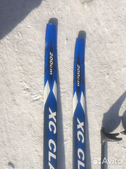 Беговые лыжи