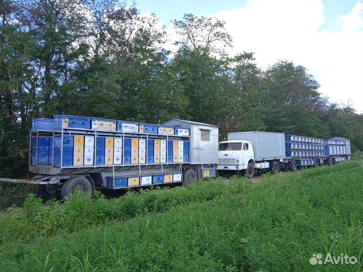 Прицеп пчеловоз, 2010