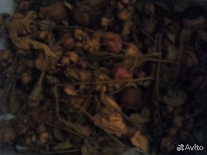 Сухие цветы