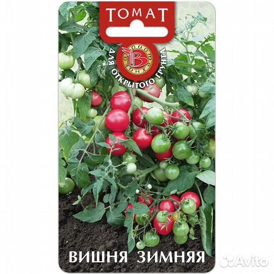 Томат Вишня Зимняя