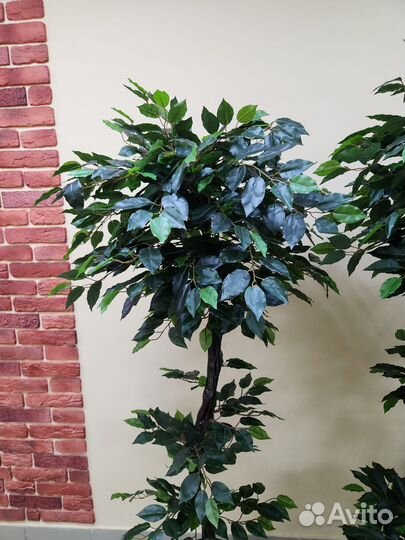 Дерево искусственное Фикус цветок домой центр