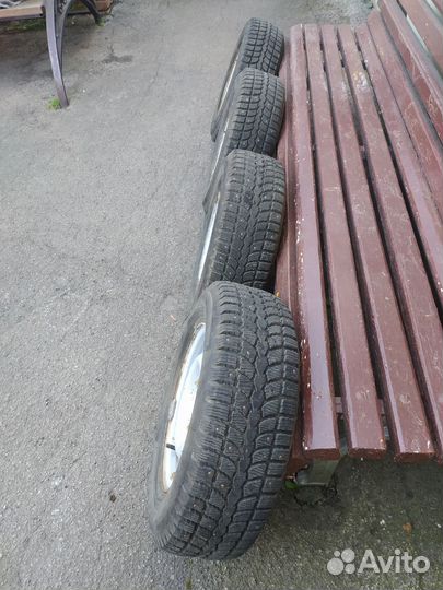 Р13 кама ирбис шипы