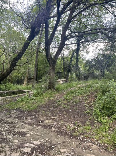 Участок 22,7 сот. (ИЖС)