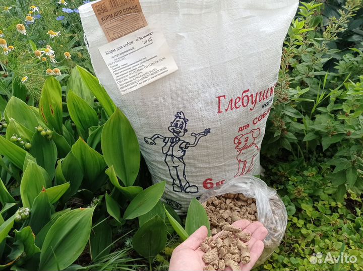 Корм для собак