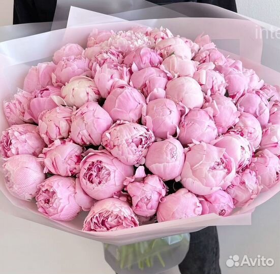 Букет пионов