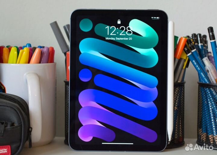 iPad mini 2021 (Space Gray) 256GB(Cellular)