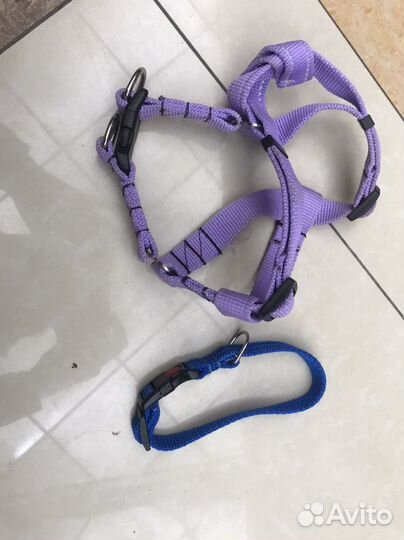 Одежда для маленьких собак бу