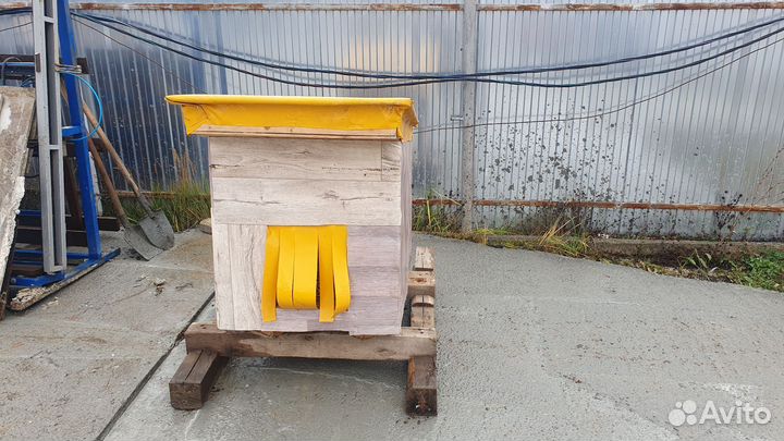 Собачья будка