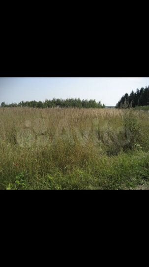 Участок 20 сот. (ИЖС)