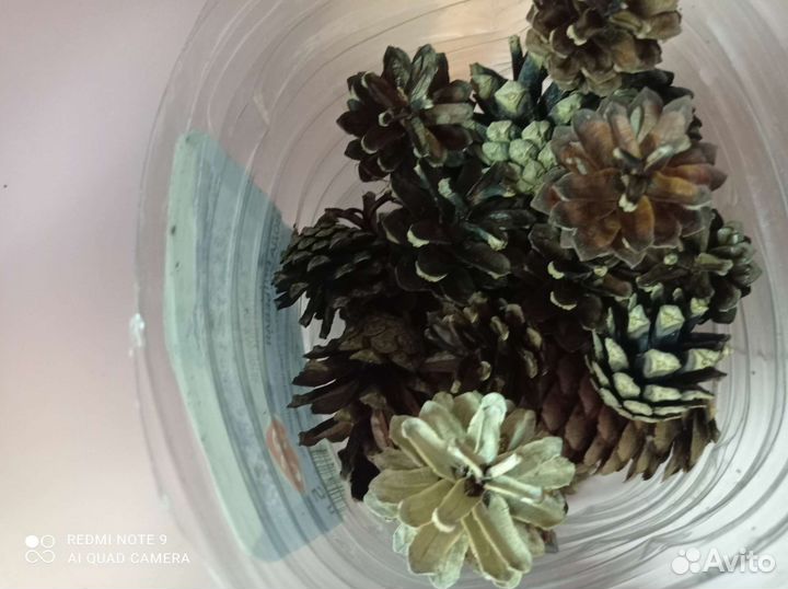 Шишки для поделок и панно, венки, выбеленные шишки