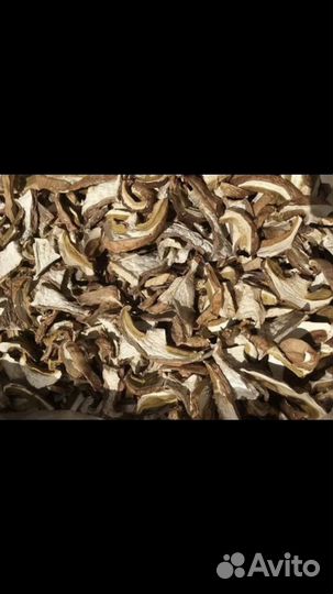 Грибы сушеные