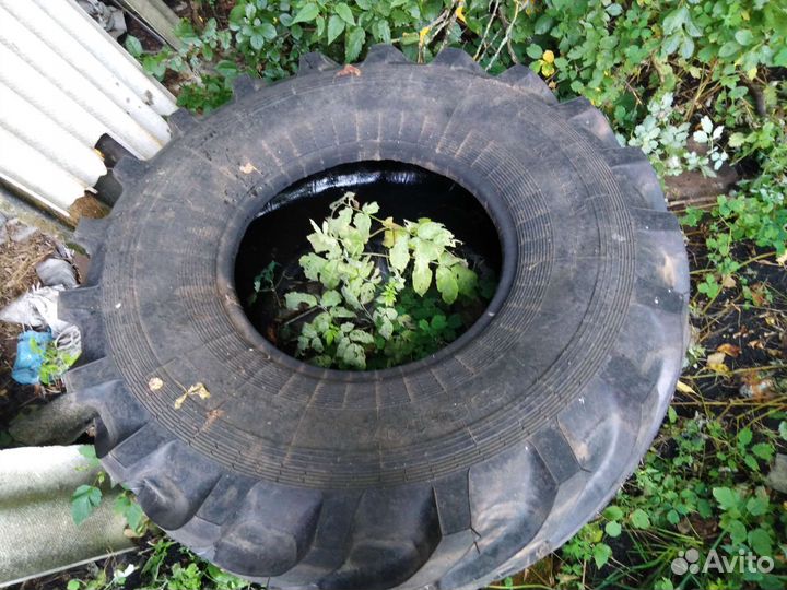 Кама R24 шина