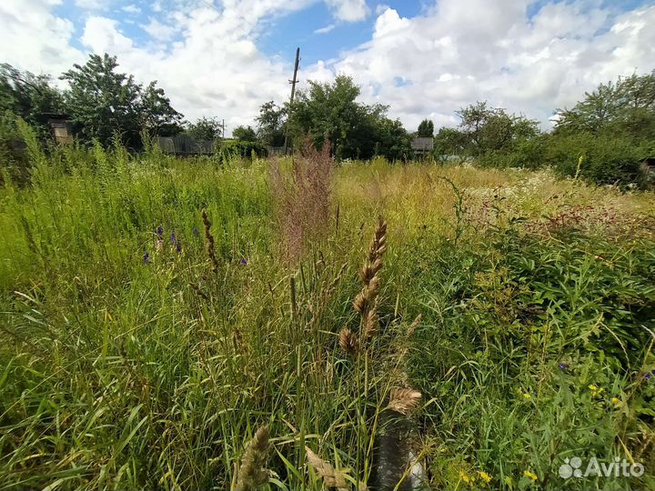 Покос травы триммером