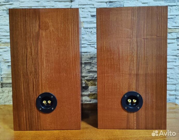 Корпуса колонок электроника 25ас-128