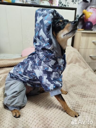 Комбинезон для собаки