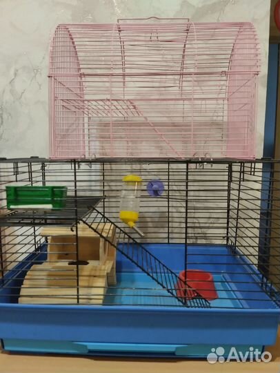 Две клетки для грызунов бу