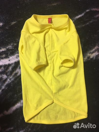 Одежда для собак