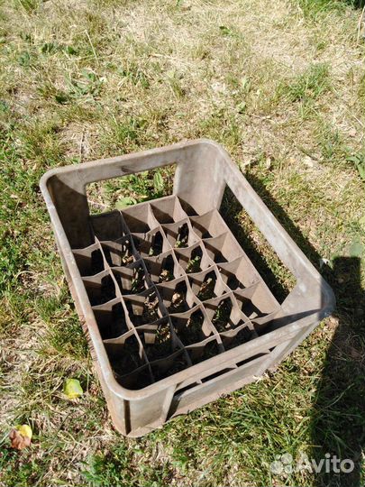 Ящик для бутылок б/у