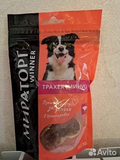 Сухой корм для собак